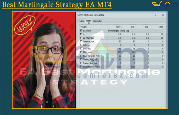 Best Martingale Strategy EA MT4 Input