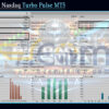 Big Daddy Nasdaq Turbo Pulse MT5 Backtest