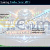 Big Daddy Nasdaq Turbo Pulse MT5 Backtests