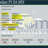 Binary Hedger FV EA MT4 Backtest