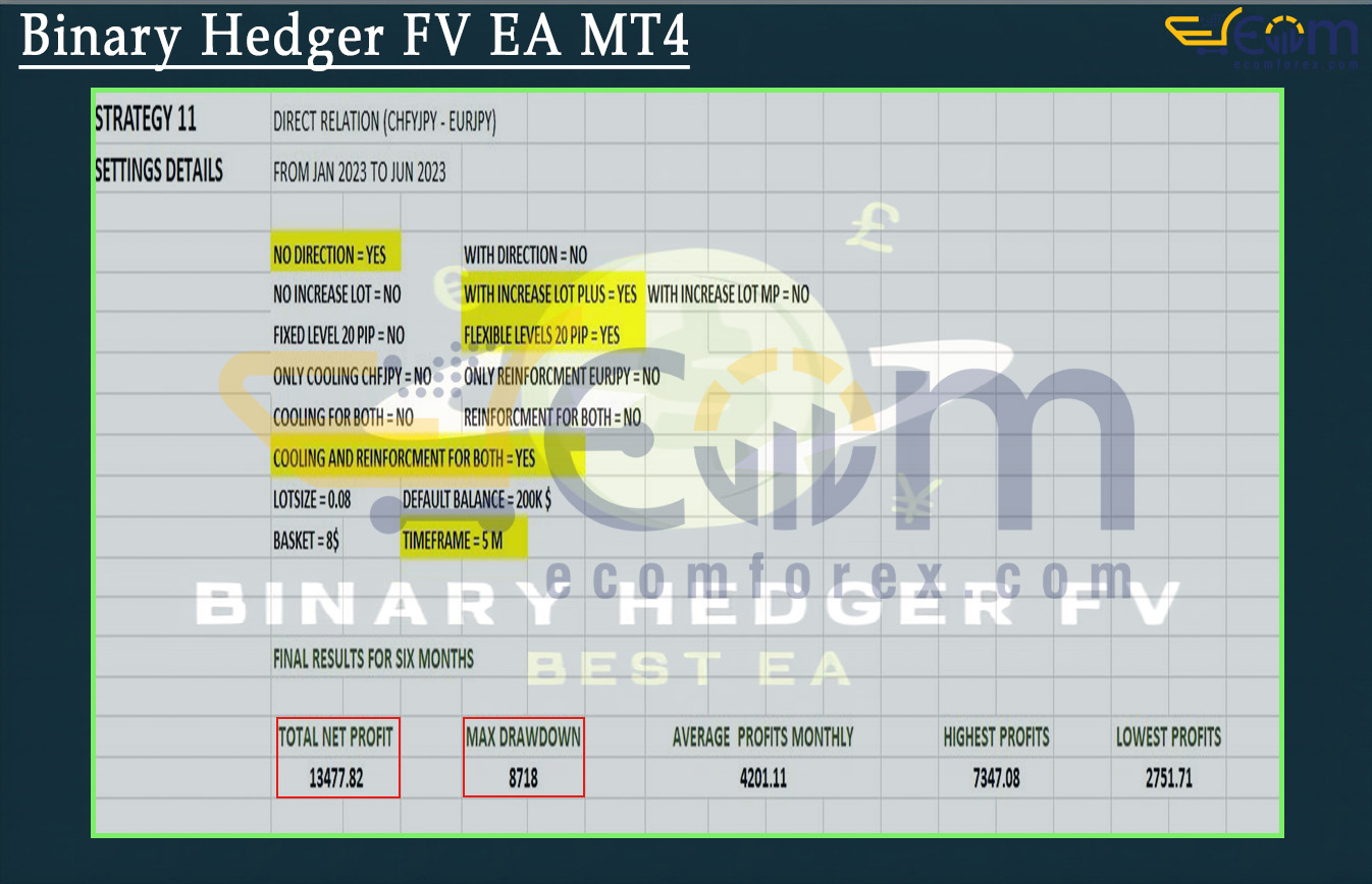 Binary Hedger FV EA MT4 Backtests