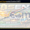 Bitcoin Smart Exponential Sentinel MT5 Backtests Result