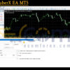 CMFX KuberX EA MT5 Setting