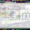Case Automatic MT5 Backtest Result
