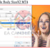 EA Candle Body SizeX2 MT4 Input