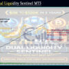 Eth Btc Dual Liquidity Sentinel MT5 Backtest