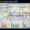 Eth Btc Dual Liquidity Sentinel MT5 Backtests