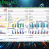 Exclusive Prime MT5 Backtest