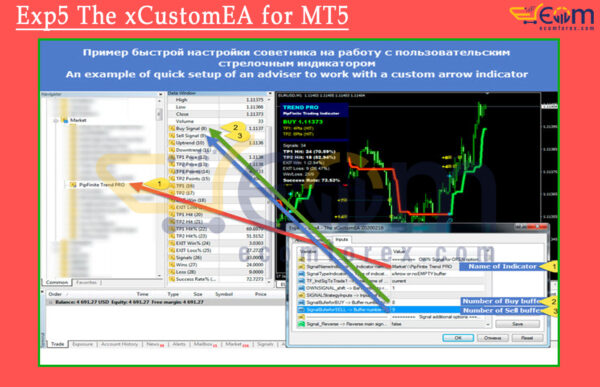 Exp5 The xCustomEA for MT5 Review