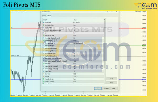 Foli Pivots MT5 Input