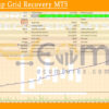 Forex 4up Grid Recovery MT5 Backtest