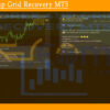 Forex 4up Grid Recovery MT5 Review