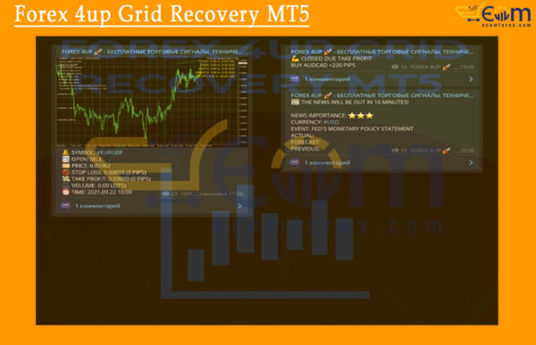 Forex 4up Grid Recovery MT5 Review