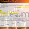 Fx Trend Follower Pro EA MT4 Backtests Result