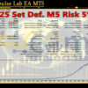 Gold Impulse Lab EA MT5 Backtests