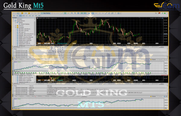 Gold King Mt5 Backtests