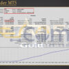 Gold Leader MT5 Backtest Result
