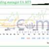 Gold trading manager EA MT5 Reviews