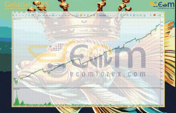 Goldfish MT5 Backtests