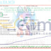 Grid Hero EA MT4 Backtests