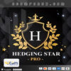 Hedging Star Pro EA MT5 Logo