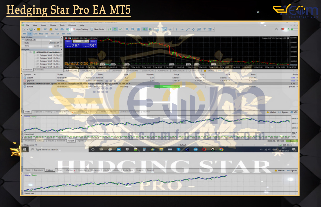 Hedging Star Pro EA MT5 Review