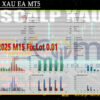 M5 Scalp XAU EA MT5 Backtest
