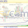 MyTraderEA MT4 Backtests Result