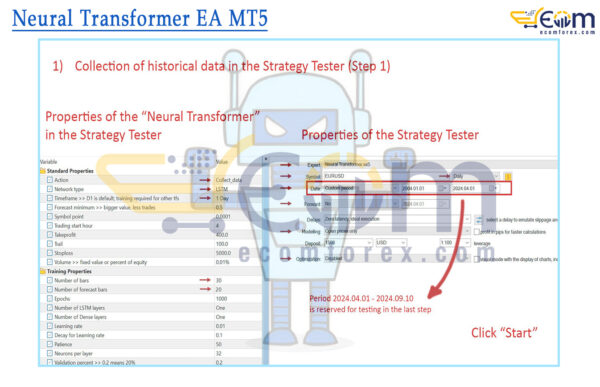 Neural Transformer EA MT5 Setting