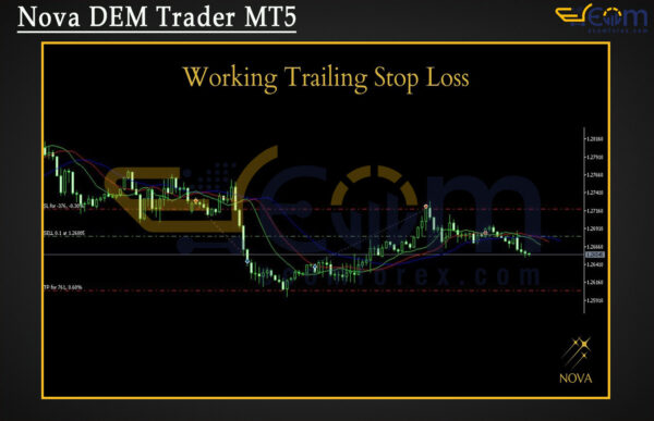Nova ALG Trader MT5 Review