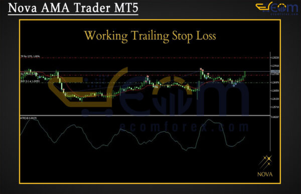 Nova AMA Trader MT5 Review