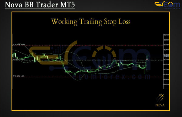 Nova BB Trader MT5 Review