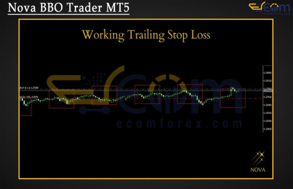 Nova BBO Trader MT5 Review