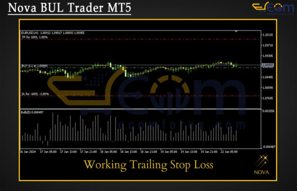 Nova BUL Trader MT5 Review