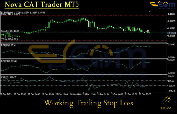 Nova CAT Trader MT5 Review