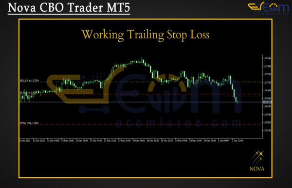 Nova CBO Trader MT5 Review