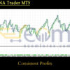 Nova DNA Trader MT5 Backtests