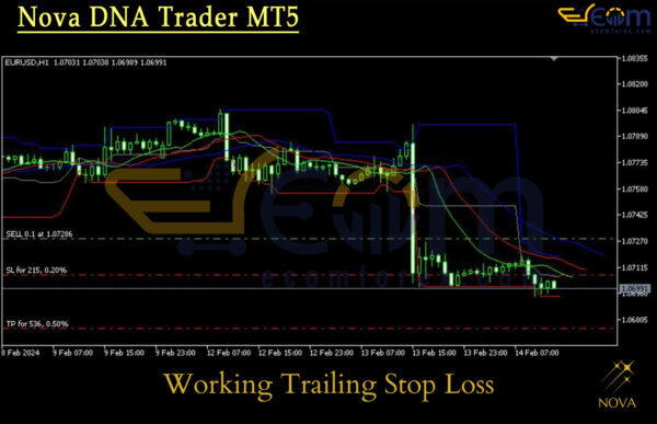 Nova DNA Trader MT5 Review