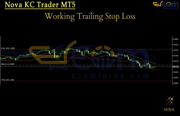 Nova KC Trader MT5 Review