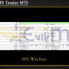 Nova MFS Trader MT5 Backtest
