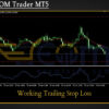 Nova MOM Trader MT5 Review