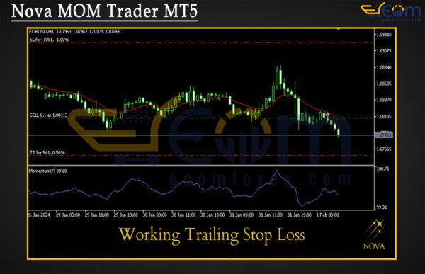 Nova MOM Trader MT5 Review