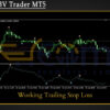 Nova OBV Trader MT5 Review