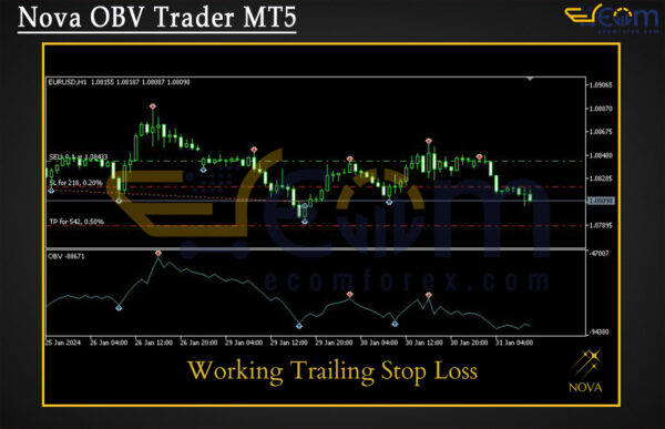 Nova OBV Trader MT5 Review