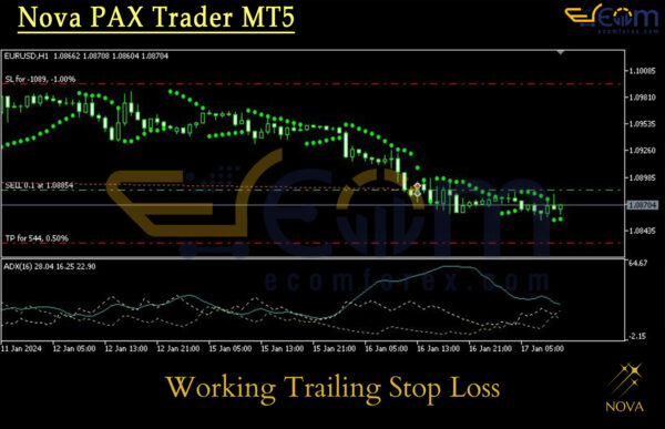 Nova PAX Trader MT5 Review