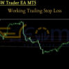 Nova RSW Trader EA MT5 Review