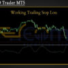 Nova SD Trader MT5 Review