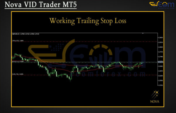 Nova VID Trader MT5 Review