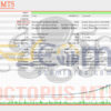 Octopus MT5 Backtest