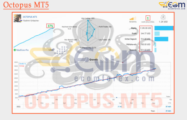Octopus MT5 Live Signals